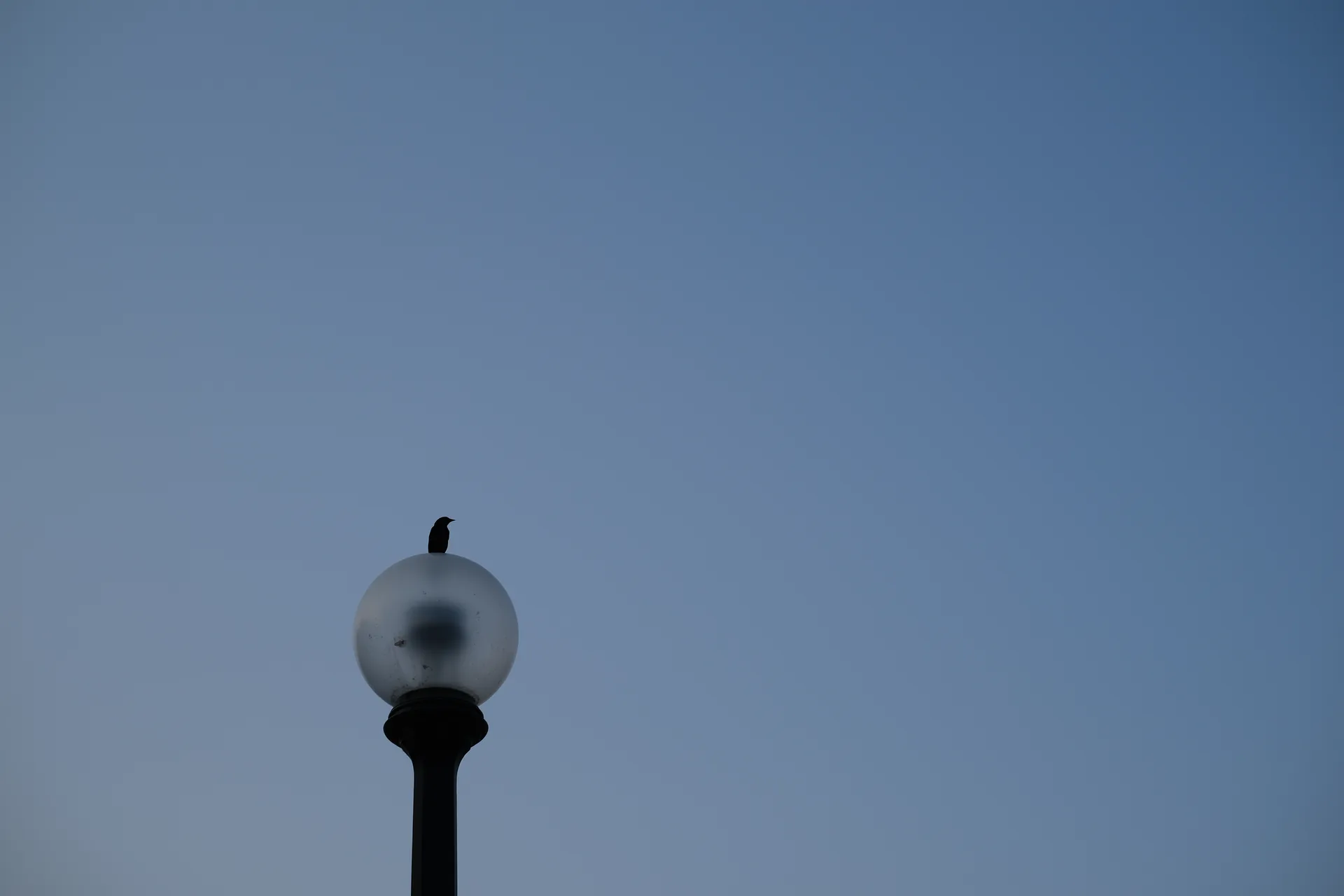 DSCF9971-1920.webp